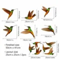Tabella delle taglie dettagliata per adesivi per finestre colibrì, misura finita 50x41cm. - CBCJD205