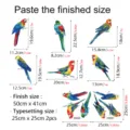 Layout dettagliato dell'adesivo per finestre pappagallo colorato con dimensioni e misure. - CBCJD209