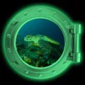 Luminous porthole wall sticker glow in the dark ocean turtle fridge magnet home decor detail - KYYG011 - Green Glow