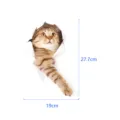 3D cat wall sticker waterproof toilet decal cute pet breaking wall decorative sticker home decor - YGC023