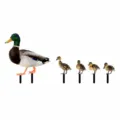 Ensemble de piquet de jardin canard colvert, décoration extérieure pelouse acrylique. - YKLU069