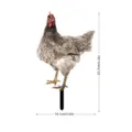 Piquet de jardin poule en acrylique pour decoration exterieure, ornement de pelouse. - YKLU07