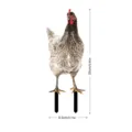 Vue détaillée du piquet de jardin poule avec dimensions, déco extérieure pour cour. - YKLU075E