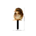 Mignon poussin piquet de jardin décoration extérieure acrylique étanche panneau - YKLU075F