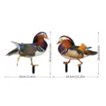 Vue détaillée des piquets de jardin canards avec des dimensions claires et mesures précises. - Ensemble YKLU091A+B