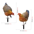 Detailed view of colorful chicken yard stakes with precise dimension markers for outdoor garden. - AB Combination Style