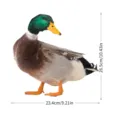Piquet de jardin canard colvert réaliste décoration de pelouse extérieure étanche. - YKLU094A