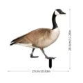 Piquet de jardin oie du Canada décoration extérieure imperméable pelouse ornement 27x28cm - YKLU097A