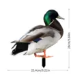 Piquet de Jardin Canard Colvert Décoration Extérieure Pelouse Étanche Accessoire - YKLU09