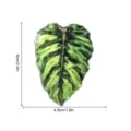 Vue rapprochée détaillée de l'aimant de réfrigérateur en feuille de plante tropicale verte. - TYCT001F