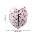 Vue détaillée de l'aimant de réfrigérateur en acrylique motif feuille de Caladium tropical. - TYCT003D