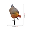 Detailed view of the metal chicken garden stake, outdoor yard art decoration with dimensions. - Style A