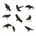 Halloween raven acrylic mirror wall sticker set with various crow silhouettes and sizes. - JM903: Raven / Silver