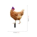 Estaca de jardín de gallina de Halloween con sombrero de bruja detalle de tamaño 28cm - TYU209C: Impresión a doble cara