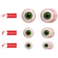 Halloween scary eyeball wall stickers waterproof spooky green eye decals party decor 3 sizes - HW006