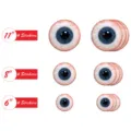 Halloween eyeball stickers set, 11 8 6 inch spooky wall floor decals for party decor. - HW005