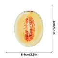 Cantaloupe slice acrylic bookmark detail view, transparent fruit design for reading books. - Melon Slice / 1mm Transparent