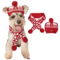 Kerst huisdier gebreide muts en sjaal set, rood en wit rendier patroon met leuke pompons. - S / Hondenhut rendierset - rood