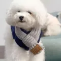 Écharpe tricotée pour animal de compagnie gris, joli chiot hiver chaud pour petits chiens. - S / Gris clair