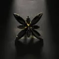 Exquisiter geometrischer Ring mit schwarzen Strasssteinen, idealer Stern-Look für Partys. - Gold Stil 1