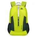 Lightweight outdoor backpack with 29L capacity, durable fabric and comfortable straps for travel. - Green