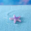 Mini purple starfish resin ornament for fish tank micro landscape desktop decoration 3.1cm - No. 21 Starfish