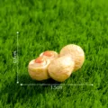 Miniature resin peanut figurine for moss micro landscape DIY decoration desktop ornament. - No. 4 Peanut