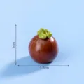 Pequeña figura de mangostán de resina miniatura fruta adorno DIY decoración accesorio 2cm - #29 mangostán