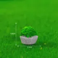 Mini moss landscape bonsai figurine tiny potted plant DIY miniature garden decor craft ornament. - No. 5 Fan-Shaped Grass Brick
