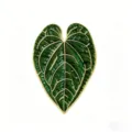 Cute tropical plant green leaf brooch enamel pin gold plated metal lapel pin clothing accessory - Heart Leaf Style (E12-5-353)