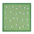 Gedetailleerd overzicht van de schattige groene sjaal met avocadoprint en fijne stof. - 53x53cm / Groen