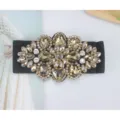 Plus size crystal rhinestone elastic wide waist cincher belt, stylish dress decorative accessory. - Style 023 Crystal Champagne Extended