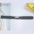 Black elastic waist belt with gold buckle for women dress suit coat fashion accessory - Style 4 / 2cm Wide / Black