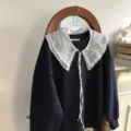 Detachable lace dot fake collar layered with dark blue casual sweatshirt, elegant daily wear. - Small Polka Dots