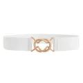 White elastic waist belt for women with chic gold metal interlocking buckle for coats. - White