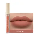 Détail de l'échantillon de rouge à lèvres liquide mat avec texture veloutée et teinte 01. - N°01