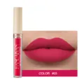 Rouge à lèvres liquide mat longue tenue imperméable velours gloss couleur #03 maquillage - N°03