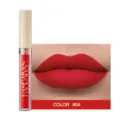 Détail de rouge à lèvres liquide mat montrant une nuance de couleur rouge vive numéro 04. - N°04