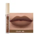 Vue détaillée de rouge à lèvres liquide mat montrant la teinte marron numéro 06 et texture. - N°06