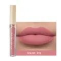 Rouge à lèvres liquide mat longue durée gloss velouté imperméable belle couleur nuance 12 - 12#