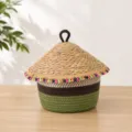 Handmade straw woven storage basket with lid, colorful tassels, cotton rope base for home decor. - Dia 24.5*Basket H 13.5*Total H 23.5 / Grass Green Base - Colorful Tassels