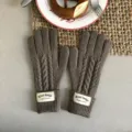 Winter warm brown knit five-finger gloves with cable pattern cozy fashion accessory daily wear - 29x10cm / Coffee