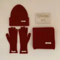Vue détaillée d'un ensemble hivernal rouge bonnet gants et écharpe avec étiquette d'automne. - Bordeaux