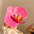 Schicke rosa Phalaenopsis Blumen Haarklammer mit Perle, ideal für den Sommerurlaub. - Krokodilklemme - Lila Blume