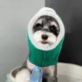 Cute pet knitted hood for dogs and cats, green and white winter warm pet hat costume. - S / Green