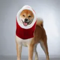 Pet knitted hat red white dog cat cute headwear warm winter funny costume holiday outfit dress up - S / Red