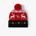 Christmas LED Knitted Hat Winter Warm Beanie with Pom Pom and Cute Reindeer Pattern - Red Double Reindeer