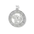 Detailed shot of copper plated zodiac pendant, featuring Taurus and astrological signs. - Silver / Taurus