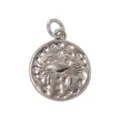 Silver tone Cancer zodiac coin pendant, retro textured metal charm for DIY necklace and bracelet. - Cancer