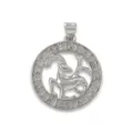 Verzilverde dierenriem teken hanger hol DIY ketting sieraden accessoire mooi. - Zilver / Kreeft